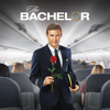 The Bachelor - 2404  artwork