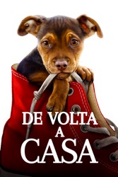 De Volta a Casa
