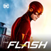 The Flash - A Flash of the Lightning  artwork