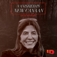 Vanished in New Canaan: An ID Mystery - Vanished in New Canaan: An ID Mystery artwork