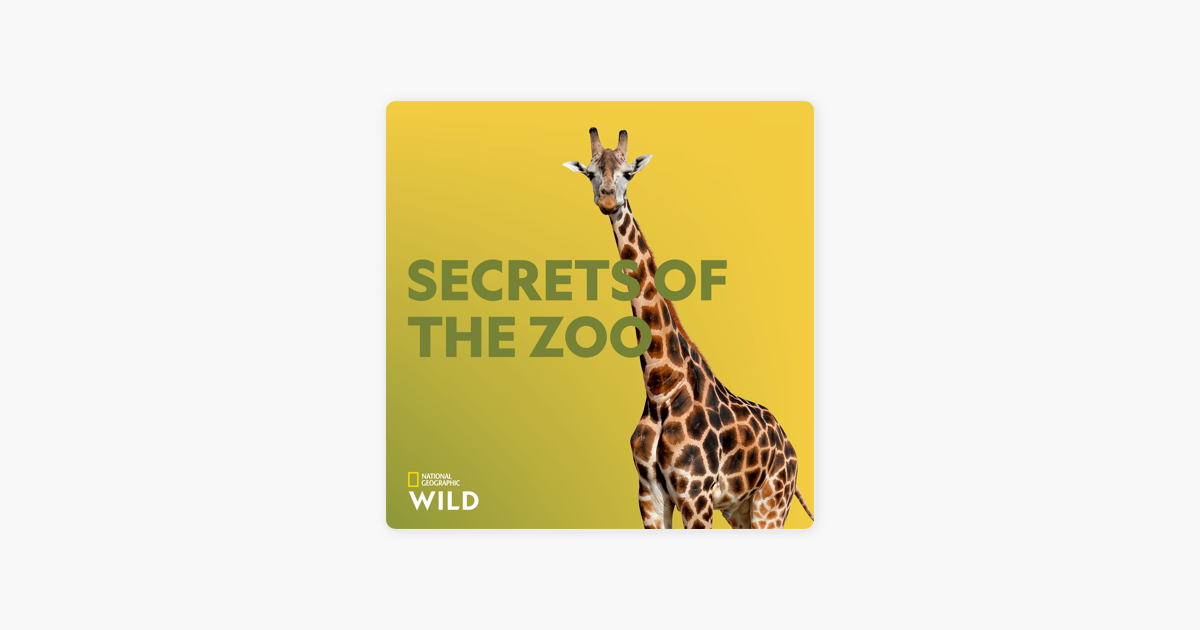 secrets of the zoo season 2