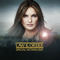 Law & Order: SVU (Special Victims Unit) - Must Be Held Accountable artwork