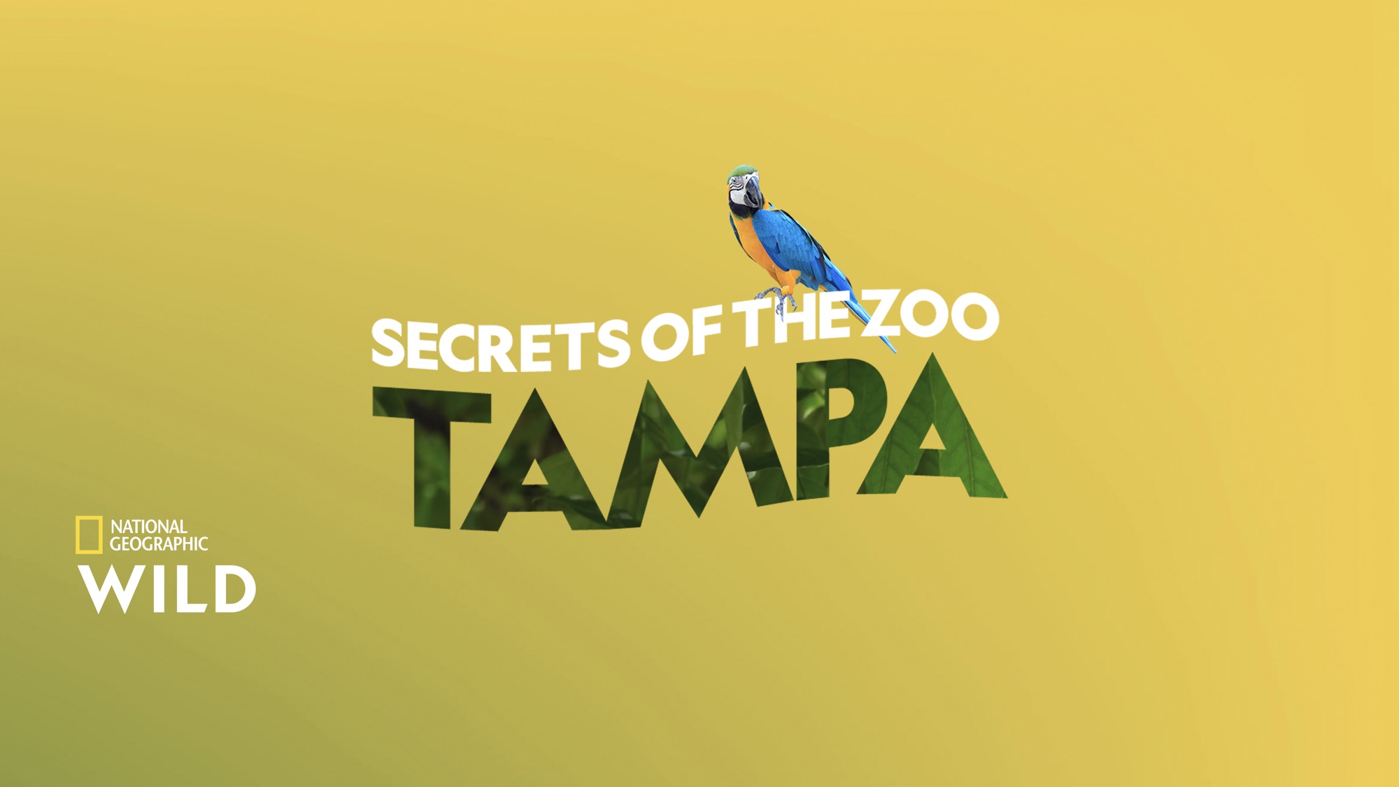 Secrets of the Zoo: Tampa | Apple TV