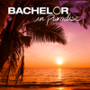 Bachelor in Paradise - 601A  artwork