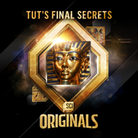 Tutankhamun: Life, Death, and Legacy - Tut’s Final Secrets artwork