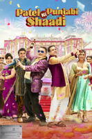 Sanjay Chhel - Patel Ki Punjabi Shaadi artwork