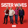 Sister Wives - Felons No More  artwork