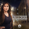 Law & Order: SVU (Special Victims Unit) - Law & Order: SVU (Special Victims Unit), Season 22  artwork