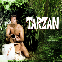 Tarzan - Tarzan und das blinde Mädchen artwork