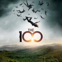 The 100 - The 100, The Complete Series artwork