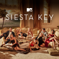 Siesta Key - Siesta Key, Season 2 artwork