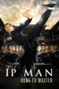 Ip Man: Kung Fu Master - Liming Li