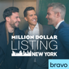 Million Dollar Listing: New York - Rebel Without a House  artwork