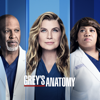 Grey's Anatomy - I'll Cover You  artwork
