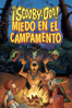 Scooby-Doo! Camp Scare - Ethan Spaulding
