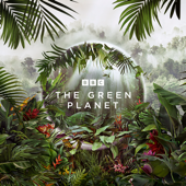 The Green Planet - The Green Planet Cover Art