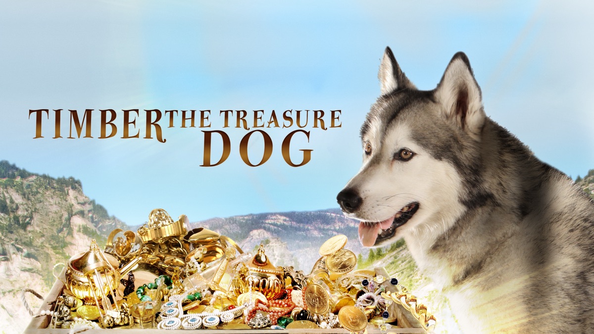 Timber the treasure dog