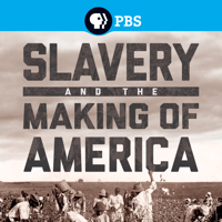 Slavery and the Making of America - Slavery and the Making of America artwork