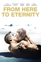 Fred Zinnemann - From Here to Eternity (1953) artwork