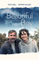 Felix Van Groeningen - Beautiful Boy artwork