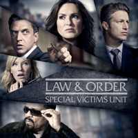 Law & Order: SVU (Special Victims Unit) - Law & Order: SVU (Special Victims Unit), Season 19 artwork