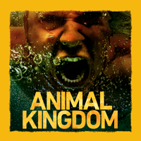 Animal Kingdom - Jackpot artwork