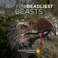 Top Ten Deadliest Beasts - Top Ten Deadliest Beasts artwork