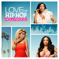Love & Hip Hop: Hollywood - Mind The Gap artwork