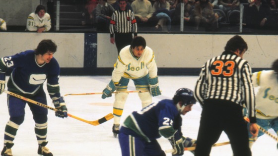 ‎The California Golden Seals Story on iTunes