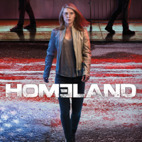 Homeland - Homeland, Season 6 (Subtitled) artwork