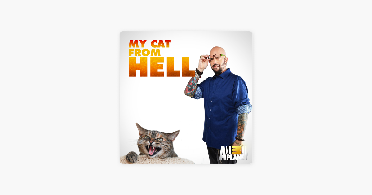 my cat from hell season 10 episode 6