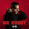 Mr. Robot - 401 Unauthorized  artwork