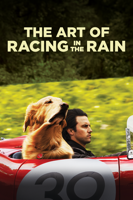 Simon Curtis - The Art of Racing In the Rain artwork