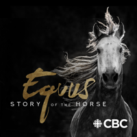Equus: Story of the Horse - Equus: Story of the Horse artwork