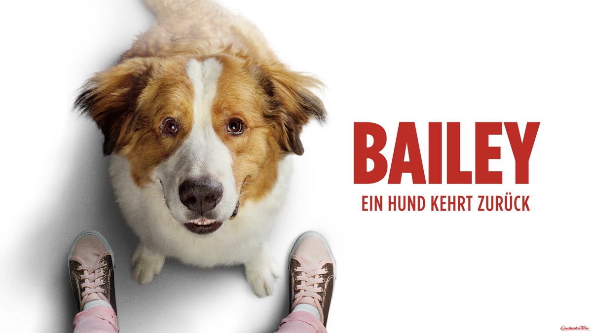 Bailey Ein Hund Kehrt Zuruck Apple Tv