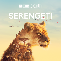 Serengeti - Conflict artwork