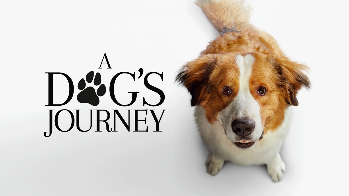 a dog's journey now tv