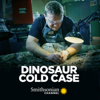 Dinosaur Cold Case - Dinosaur Cold Case artwork