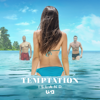 Temptation Island - The Final Bonfire, Pt. 2  artwork