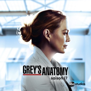 Grey's Anatomy, Saison 17 (VOST) - Episode 3