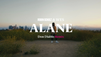 Robin Schulz & Wes - Alane (Don Diablo Remix) artwork