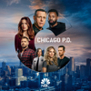 Chicago PD - Chicago PD, Season 8  artwork