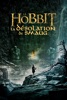 icone application Le Hobbit : la Désolation de Smaug