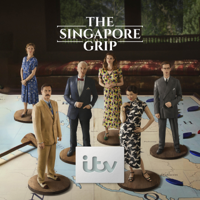 The Singapore Grip - The Singapore Grip artwork