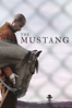 Laure de Clermont-Tonnerre - The Mustang  artwork