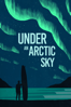 Under an Arctic Sky - Chris Burkard