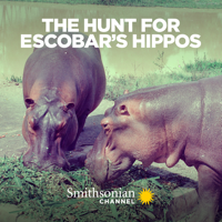 The Hunt for Escobar's Hippos - The Hunt for Escobar's Hippos artwork