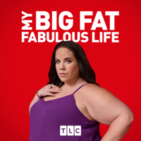 My Big Fat Fabulous Life - The Skinny artwork