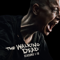 The Walking Dead - The Walking Dead, Seasons 1 - 10 artwork