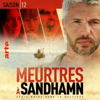 Télécharger Meurtres à Sandhamn, Saison 12 (VOST) Episode 1